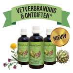 SkinnyLove Lever Detox